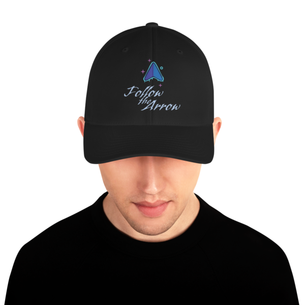 Follow the Arrow Structured Twill Cap - Image 5
