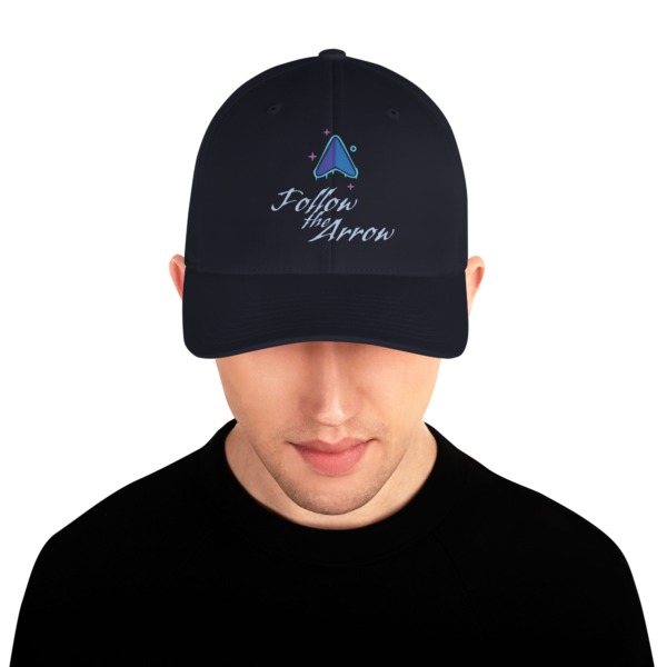 Follow the Arrow Structured Twill Cap