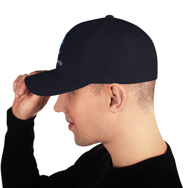Follow the Arrow Structured Twill Cap - Image 2